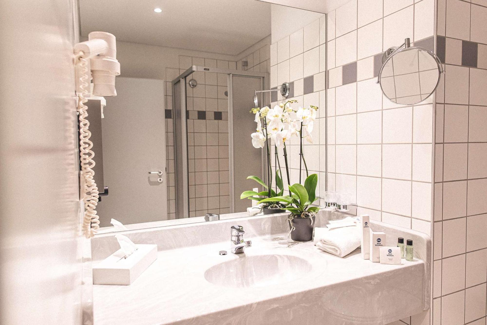 Hotel Western Plaza Zwickau